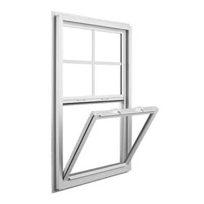 Immagine per 1100 Series - Single Hung - Standard