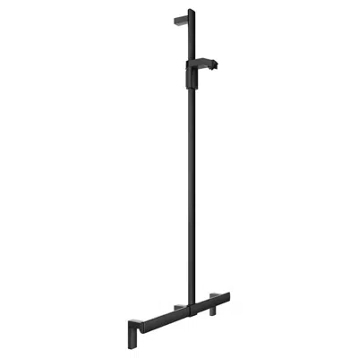Image for Rail system with shower rail