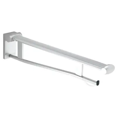Immagine per Pivoted supporting rail WC with toilet paper holder