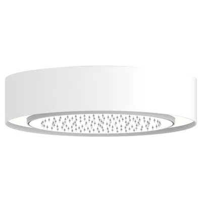 画像 Shower light w. head shower and shower arm
