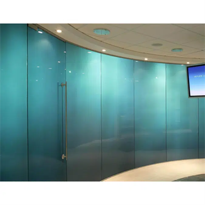 Pivot Frameless Swing Door