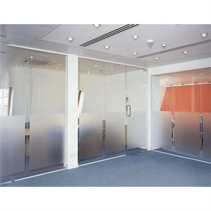 Pivot Frameless Swing Door