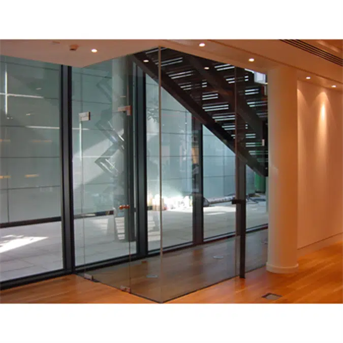 Pivot Frameless Swing Door