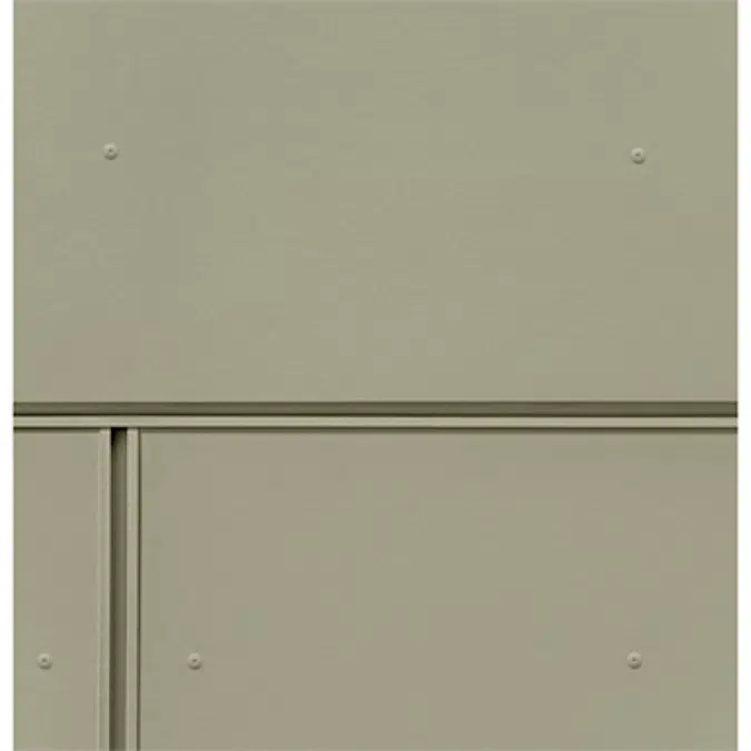 Reveal® Panel with Surround Trim by James Hardie  