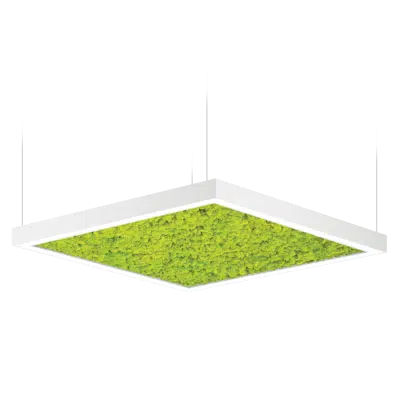 Image for Acousto Square SDI