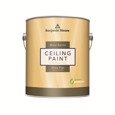Image for WATERBORNE CEILING PAINT