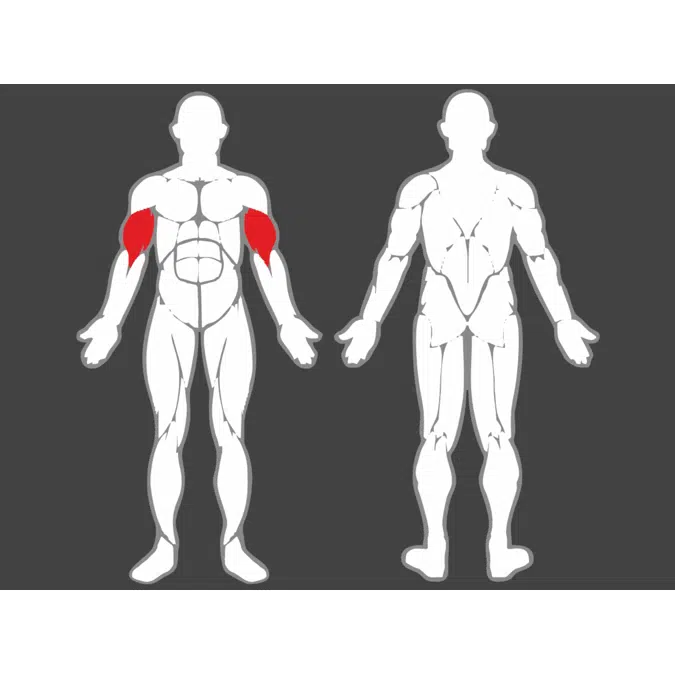 ElementFit Bicepscurl Stående