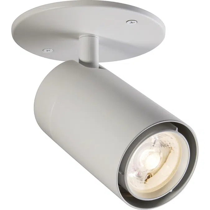 FLEX Series: Track, Pendant, Surface, etc.