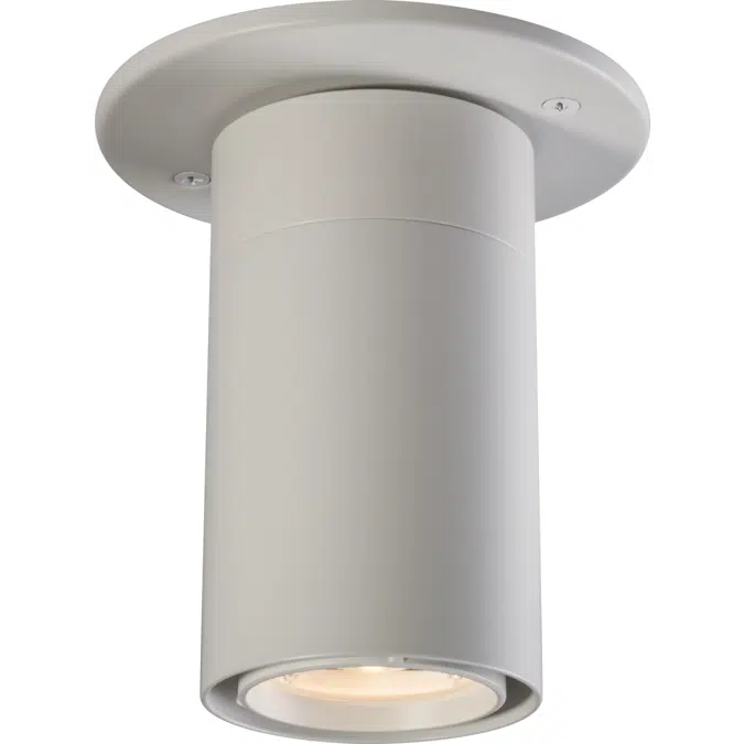 FLEX Series: Track, Pendant, Surface, etc.