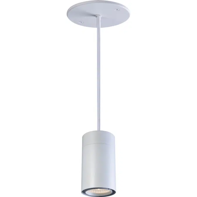 FLEX Series: Track, Pendant, Surface, etc.