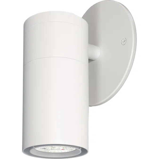 FLEX Series: Track, Pendant, Surface, etc.