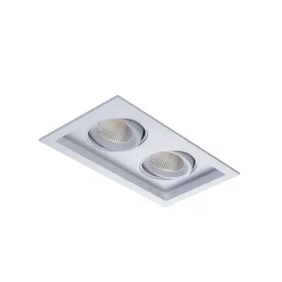 Imagem para Sigma 2 (S222) 2 Light Linear Tilting Gimbal LED Fixture}