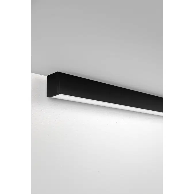 PEGA Linear - Surface or Suspended