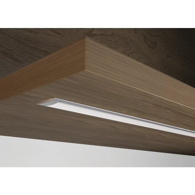 PEGA Linear - Surface or Suspended