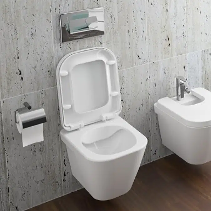 Look rimflush wall mounted wc with concealed fixation