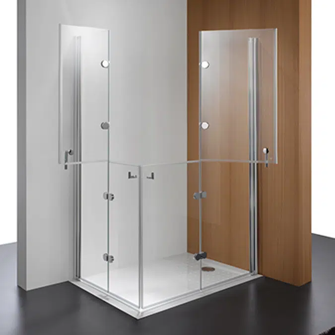 New WCCare Hinged shower door