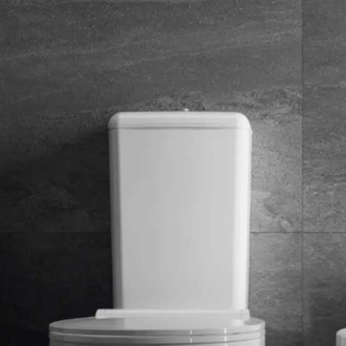 Sanproject bottom water supply connection cistern with dual flush mechanism