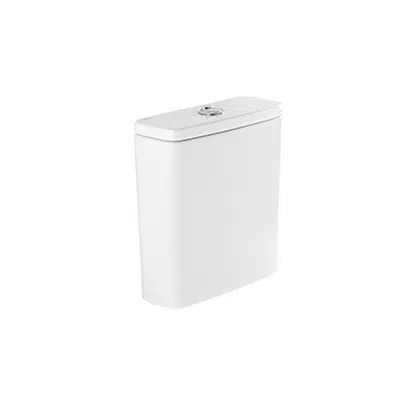 Image for Look cistern with dual flush mechanism