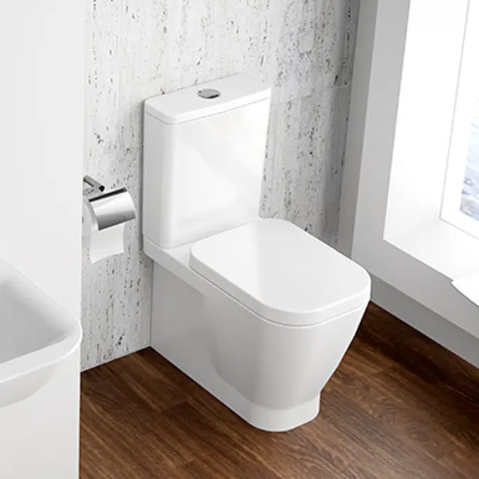 Look cistern with dual flush mechanism