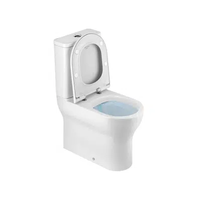 afbeelding voor Winner Confort W|D close coupled toilet