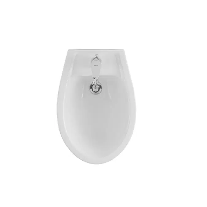 Cetus wall mounted bidet