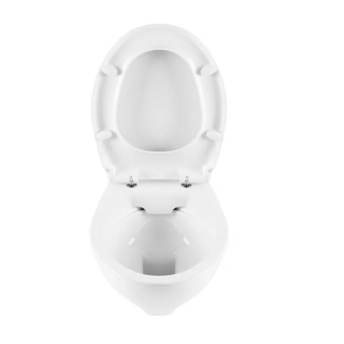 Cetus rimflush wall mounted toilet