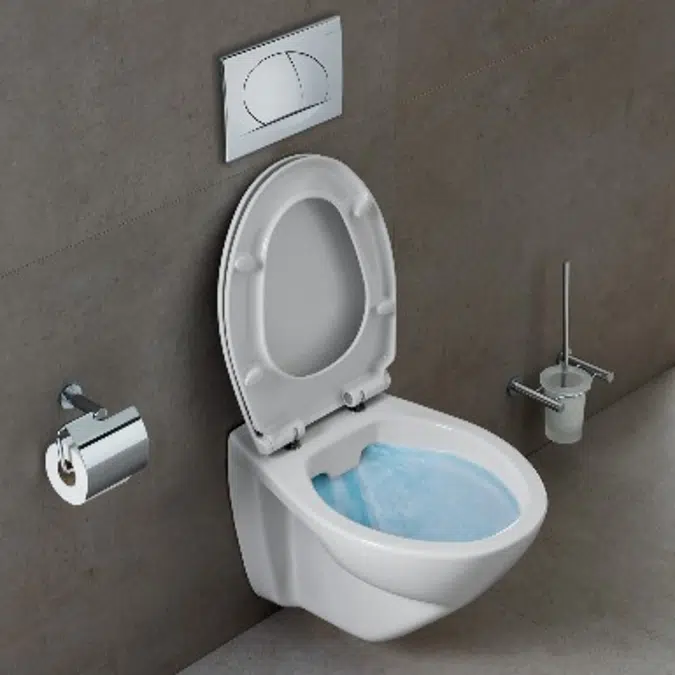 Cetus rimflush wall mounted toilet