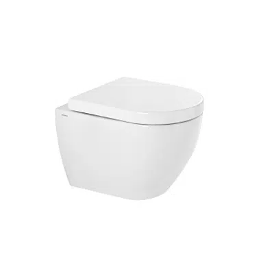 Image for Sanibold rimflush wall mounted toilet with concealed fixation