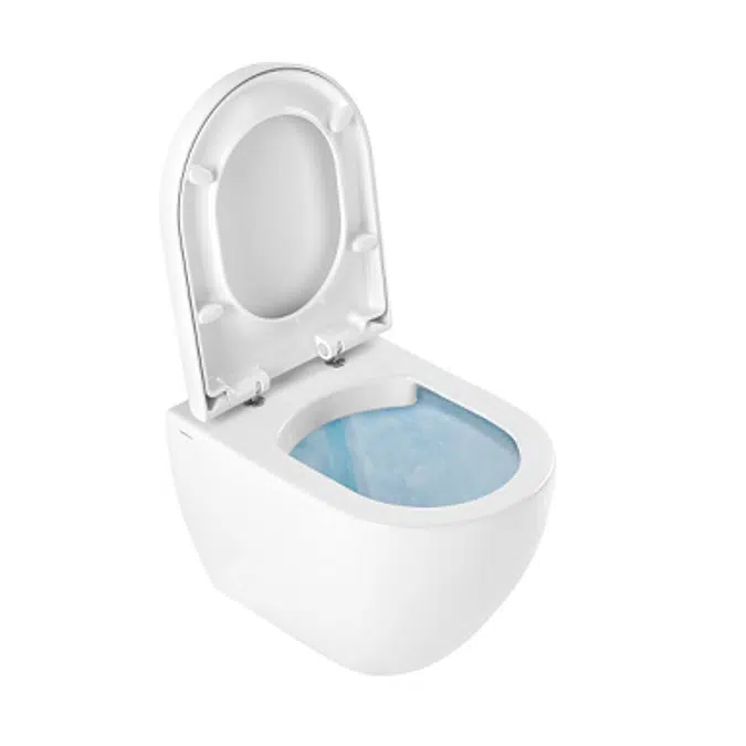 Sanibold rimflush wall mounted toilet with concealed fixation