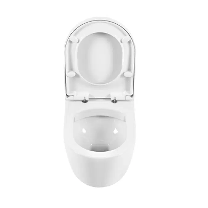 Sanibold rimflush wall mounted toilet with concealed fixation