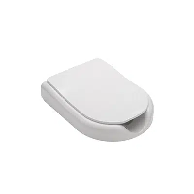 Image for New Wccare toilet seat with slow close cover and frontal openning