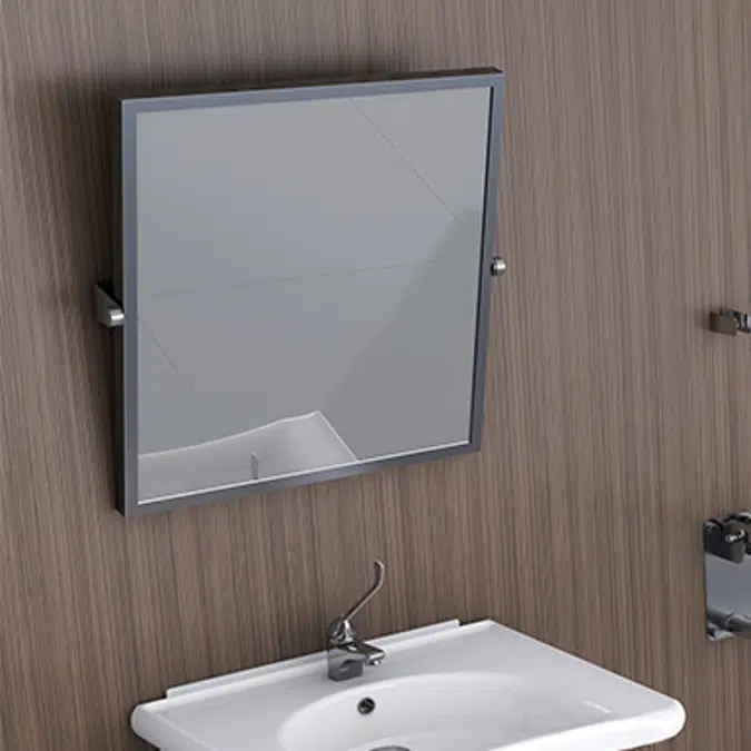 New WCCare adjustable mirror