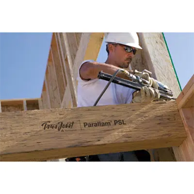 Image for Trus Joist® Parallam® PSL Beams and PSL Treated Beams