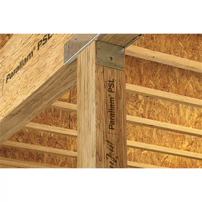 Image for Trus Joist® Parallam® PSL Columns and PSL Treated Columns