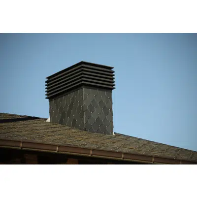 画像 Ogival Slate format 40x20 with hooked on timber batten - thickness 3.75 mm 4 sections for the 4 colours (black, grey, green, stained)