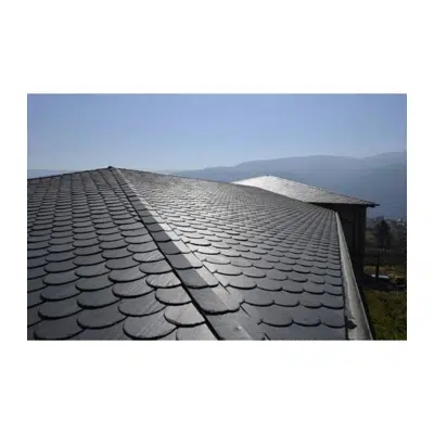 画像 Rhombus Slate format 40x30 with nailed on timber batten - thickness 7.5 mm 4 sections for 4 colours (black, grey, green, stained)