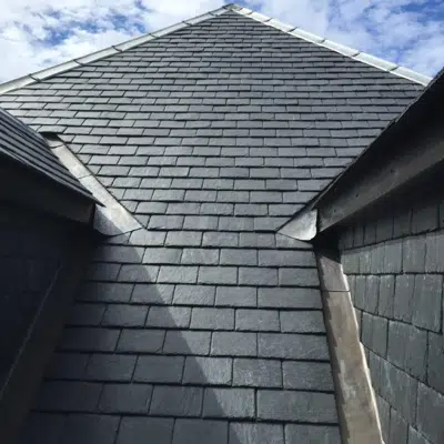 Black Spanish Slate 50x25 için görüntü