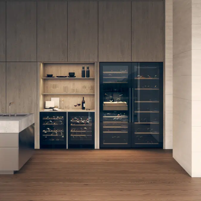 Wine climate cabinet WCN25842G 