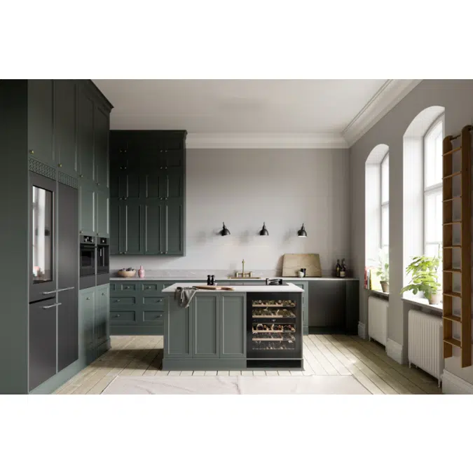 Wine climate cabinet WCN25842G 