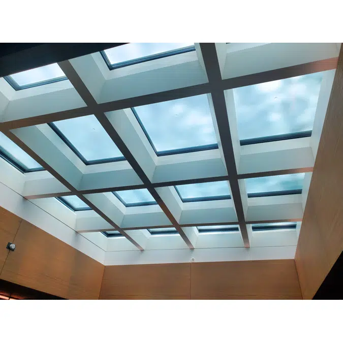 LITEFLAM® XT 60 IGU Fire- Rated Walkable Skylight- Glass Floor