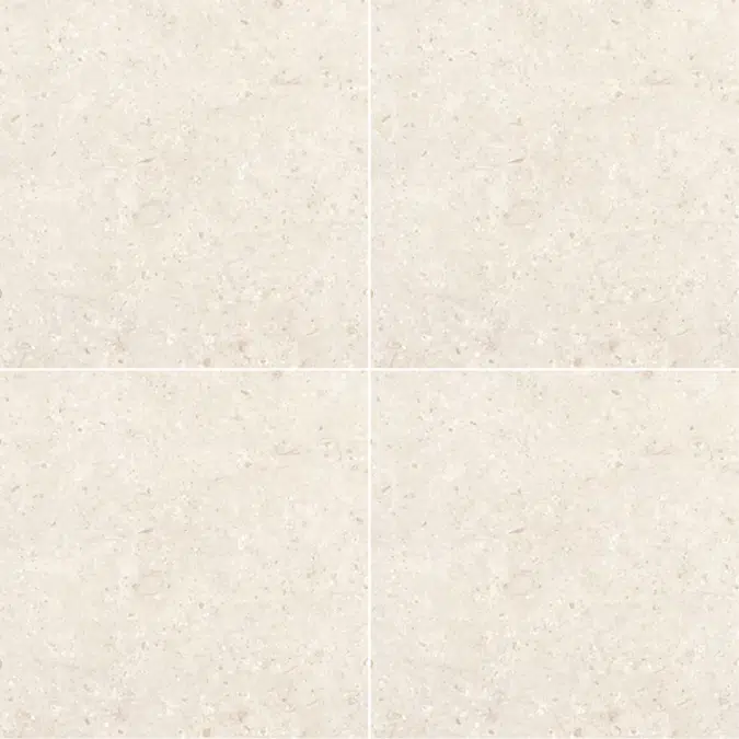 COTTO X-Porcelain Tile BLEULITH 24x24
