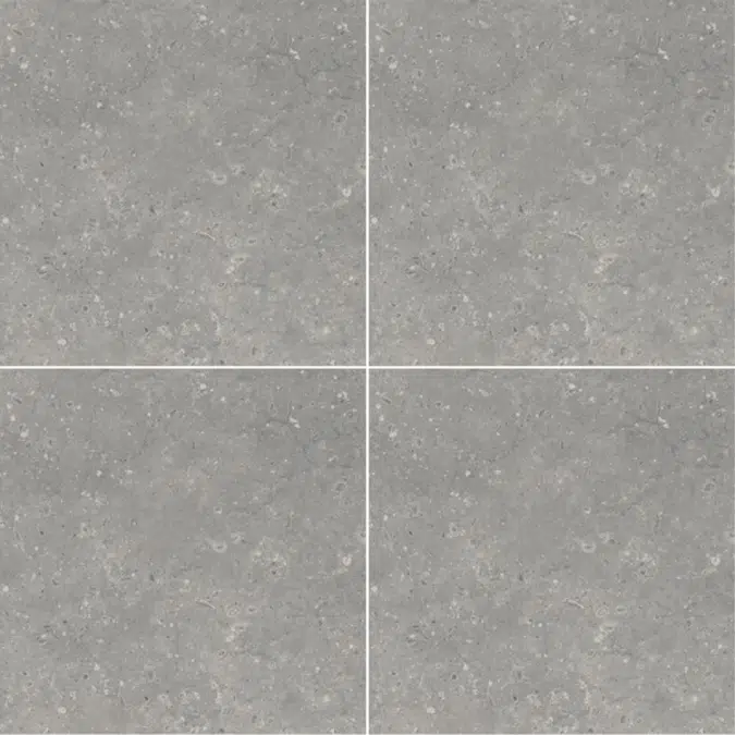 COTTO X-Porcelain Tile BLEULITH 24x24