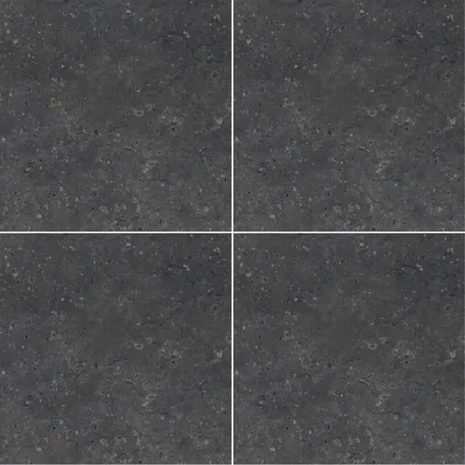 COTTO X-Porcelain Tile BLEULITH 24x24