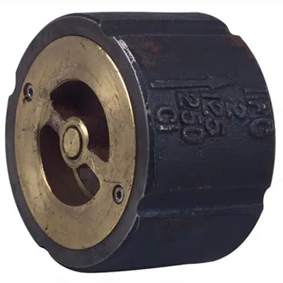 obraz dla Cast Iron Silent Check Valves - ACVW-125