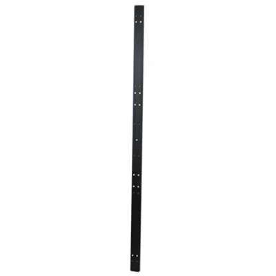 Immagine per Mighty Mo 20  4-Post Rack Baffle Rails