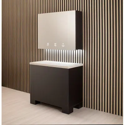 Immagine per BTM02 - 3 Module cabinet for behind the mirror: water + soap + hand dryer