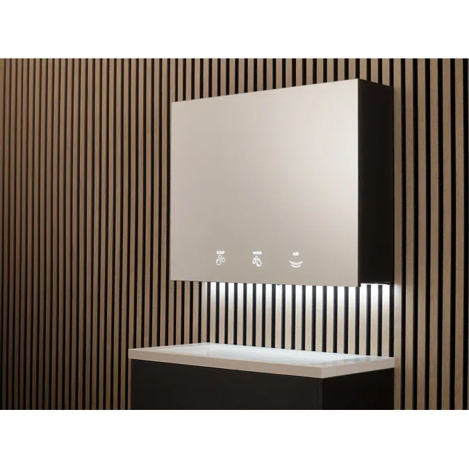 BTM02 - 3 Module cabinet for behind the mirror: water + soap + hand dryer