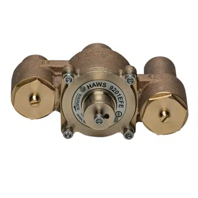 bild för Model 9201EFE AXION® Emergency Tempering Valve