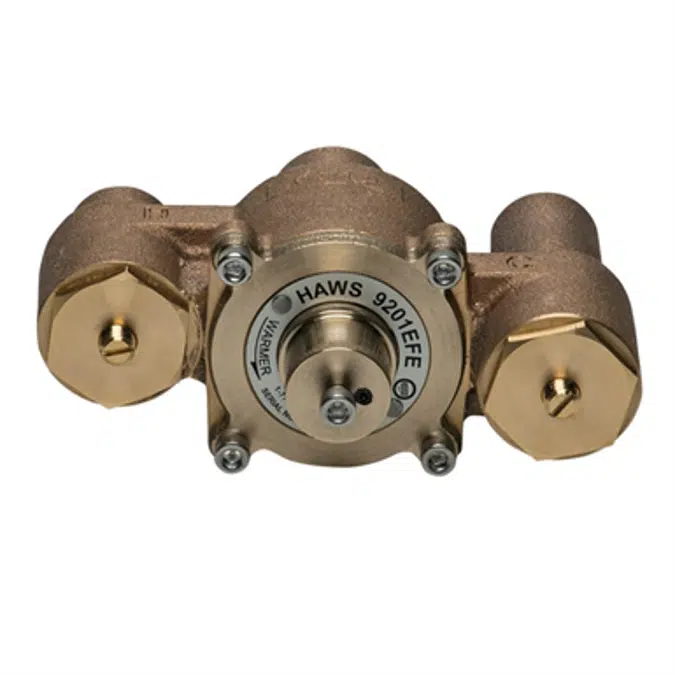 Model 9201EFE AXION® Emergency Tempering Valve