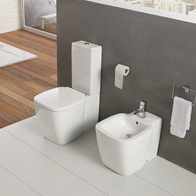 Universal BTW bidet 560x390